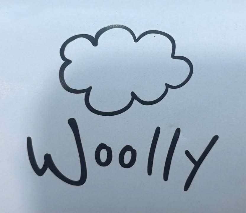 Woolly Yarn  Co