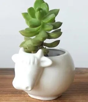 Ceramic Cow little planter