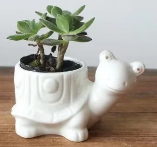 Little Turtle - Novelty Ceramic Planter