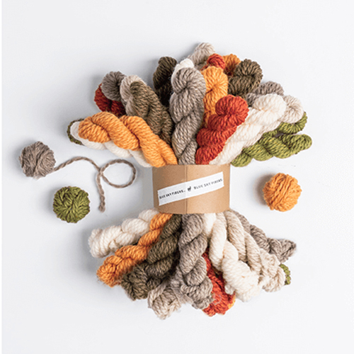 Blue Sky Fibers -Woolstok Bundle - DK - Fall