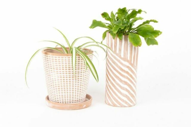 Pots & Planters