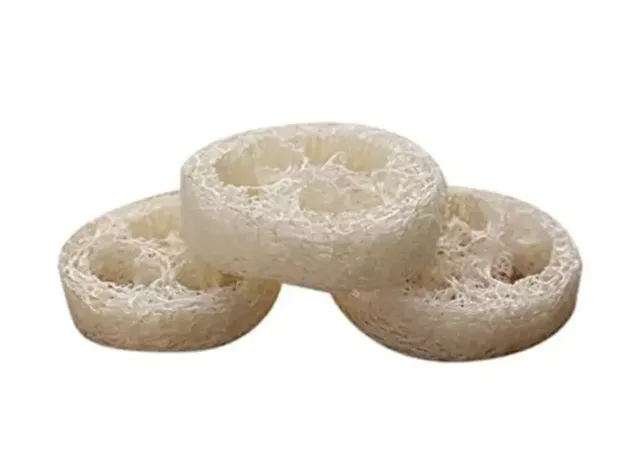 Loofah - slices
