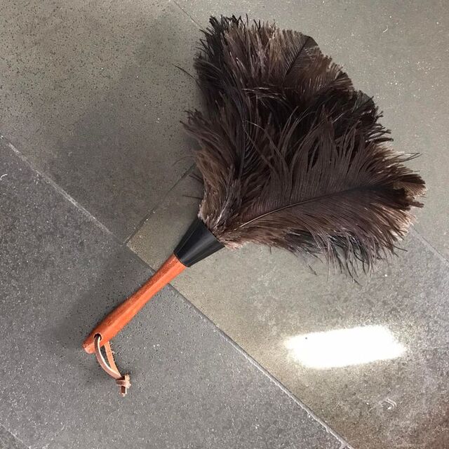 Ostrich Feather Duster -short handled