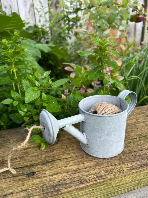 Old Zinc Watering Can String Dispenser