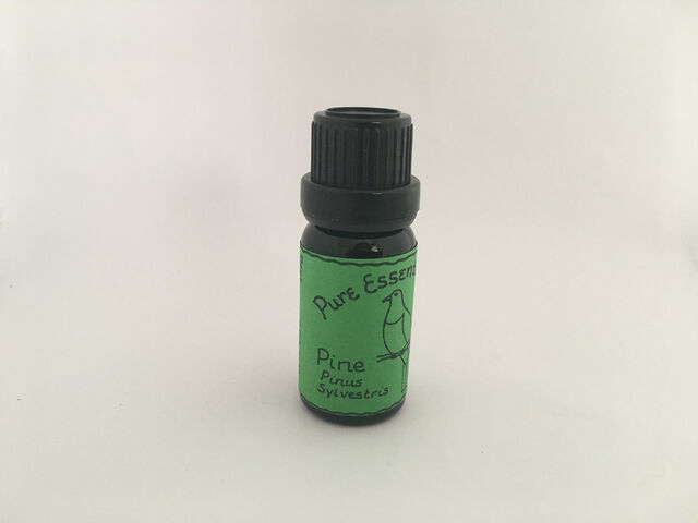 Pine Essential Oil - Kereru