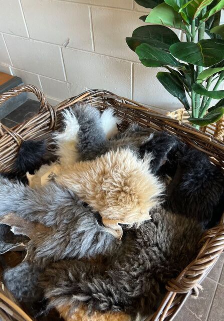 Sheepskin Offcuts LongWool - Small