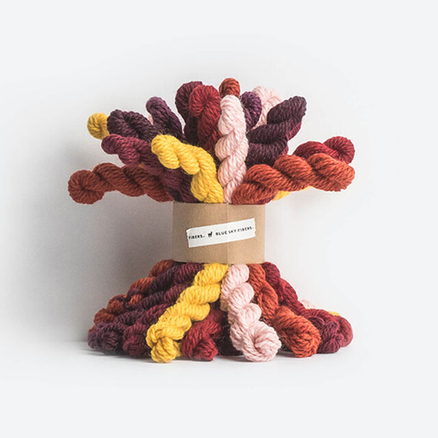 Blue Sky Fibers - Woolstok Bundle DK - Warm