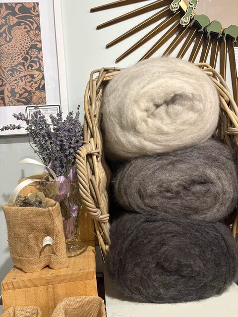 Gotland Lamb Carded Roving -Mt Trotter