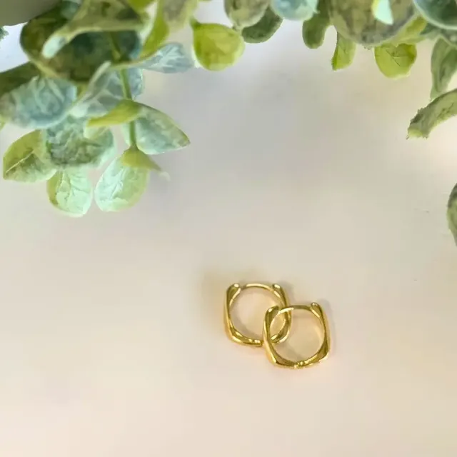 Earrings - Simple Sleepers - Queen of the Foxes