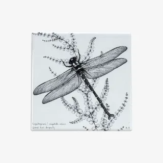 Ceramic Coaster - NZ Giant Dragonfly / Kapokapowai - Katy Hayward Art