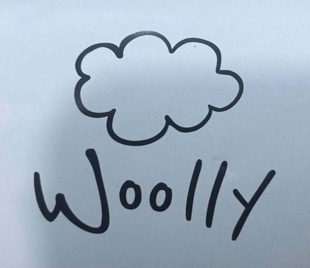 Woolly Yarn  Co